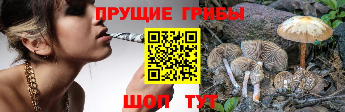 Касимов  продажа наркотиков  Вход с VPN  Псилоцибиновые грибы MAGIC MUSHROOMS 